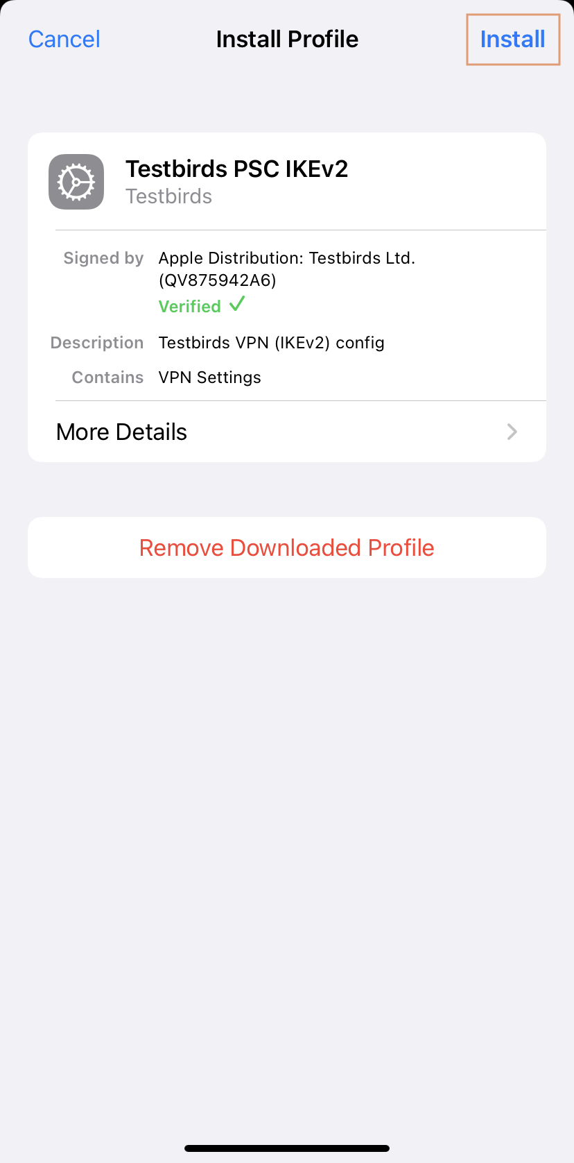 iOS VPN profile step02